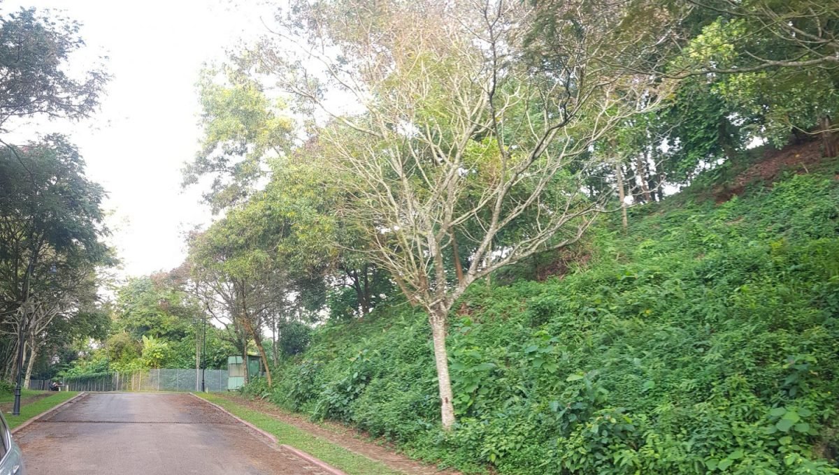 Country Height Damansara bungalow