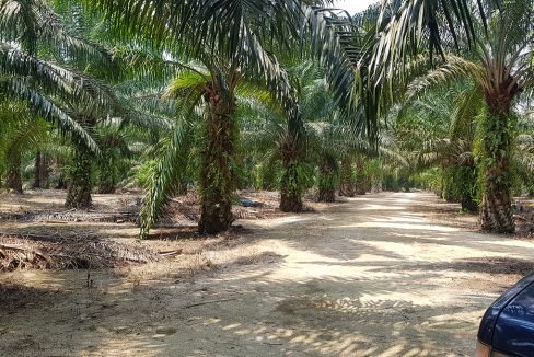 Pantai Remis 2 acres flat land