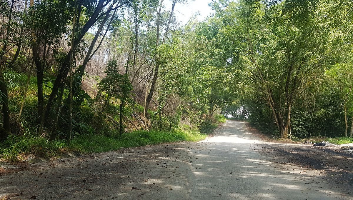 Silibin-Ipoh-housing-land-road