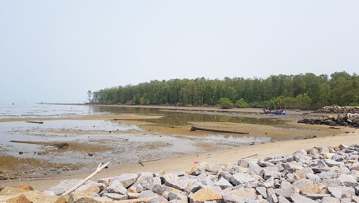 Butterworth development land - mangrove nearby