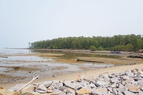 Butterworth development land - mangrove nearby