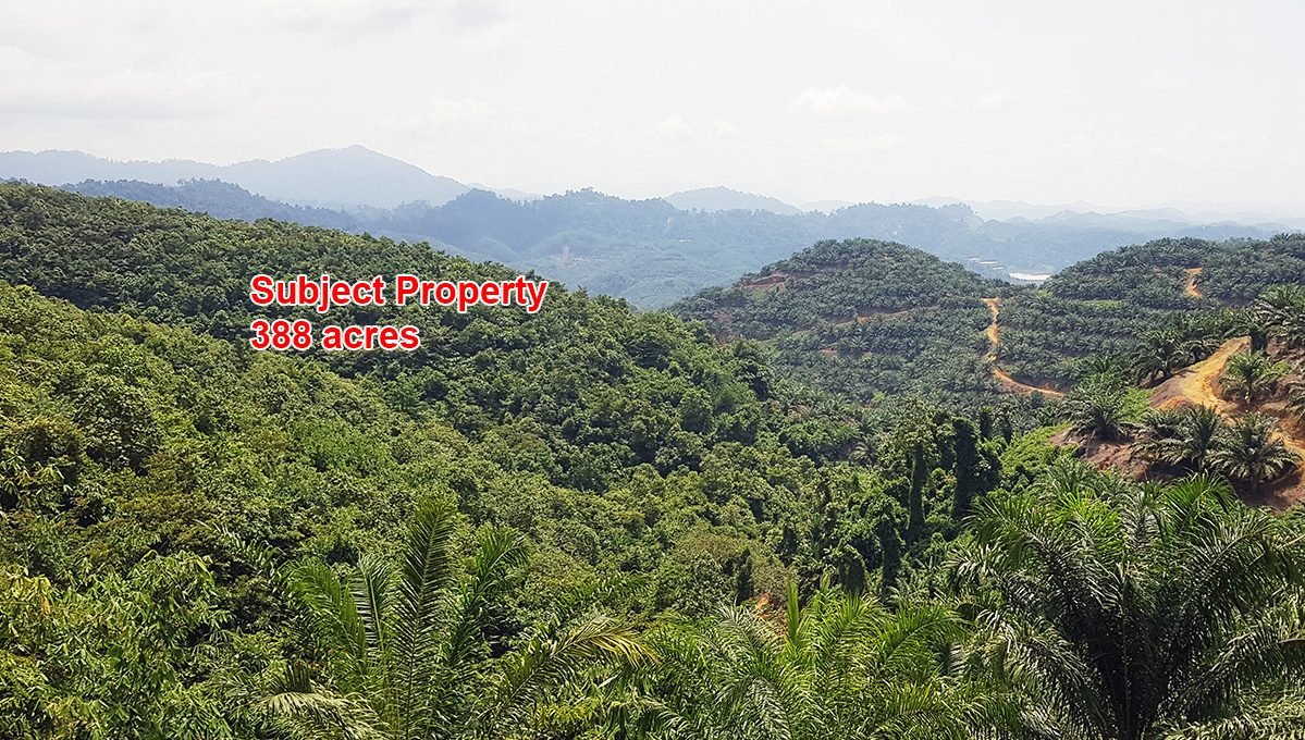 Gua Musang 388 acres for web (1)