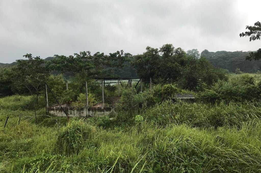 Batu Gajah 2 acres Freehold fish farm (1)