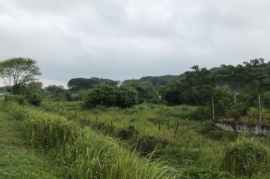 Batu Gajah 2 acres Freehold fish farm (2)