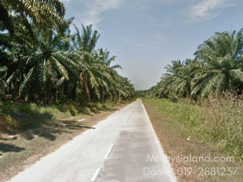 Baling, Kedah – 237 acres Freehold Rubber and Oil Palm estate