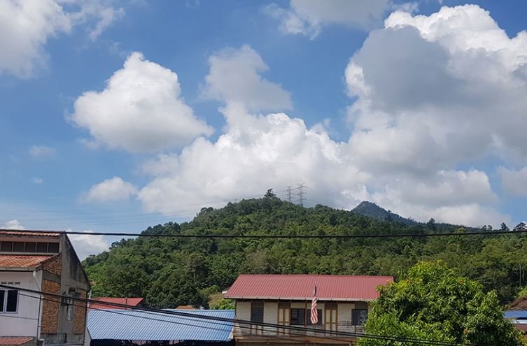 Sungai Dua- 59 acres Potential Development Land [SOLD]