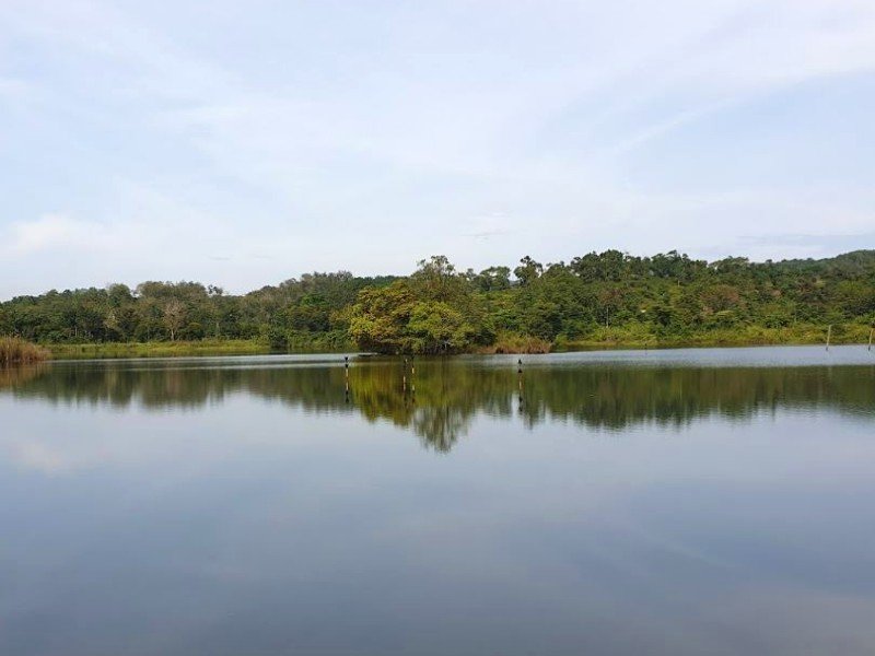 Batang Kali, Selangor – 40 acres Freehold Agriculture land (Suitable for Durian Orchard)