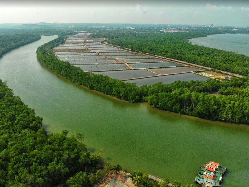Lukut, Port Dickson – 134 acres Riverine Land (Perfect for Resort/Tourism Aqua Farming)