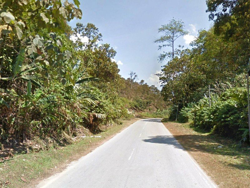 Sang Lee, Bentong – 17.5 acres Freehold Vacant Agriculture land (Potential for Durian Plantation, adjoining another 18 acres with main road frontage)