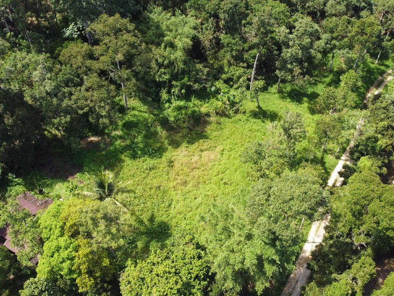 Tapah, Perak – 2.55 acres Freehold Orchard with Kampung House, Old Durian Trees, Mangosteen, Stream and 2 Ponds (Next to housing, ideal for country home)