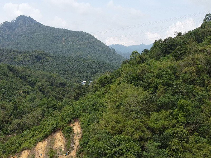 Kampung Sungai Dua, Karak – 11 acres Freehold Vacant Land, Suitable for Durian Farm