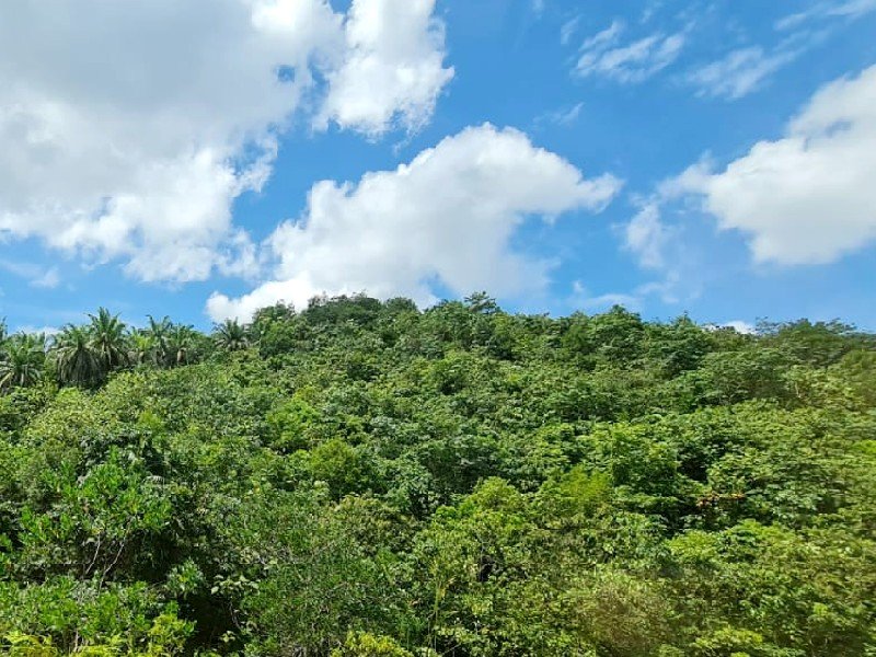 Kuala Krai, Kelantan – 5000 acres Vacant Agriculture Land