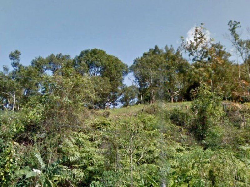 Raub – 20 acres Main Road Fronting Durian Farm (4-5 years Musang King and Black thorn) 劳勿猫山王榴莲芭出售