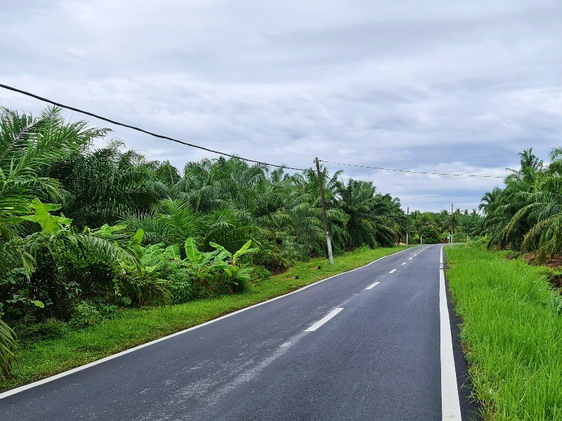 Lekir, Perak – 10 acres Freehold Oil Palm Land (Potential for Housing)