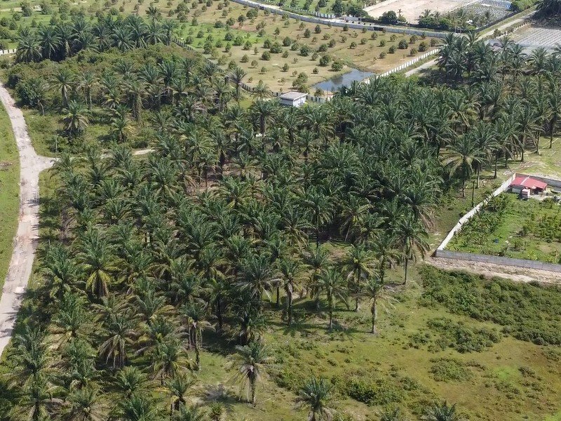 Gopeng, Perak – 4.5 acres Freehold Vacant Agriculture Land (Ready Infrastructure for Personal Retreat / Orchard / Vegetable or Durian Farm) 务边，霹雳 – 4英亩永久农业地，有水电马上可以建民宿/种植果园/蔬菜/榴莲