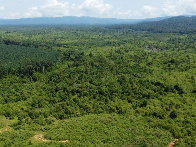 Keratong, Pahang –  500, 1000 or 1,500 acres Undulating Vacant Land